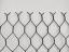 Badger-proof DT Mesh Detail.