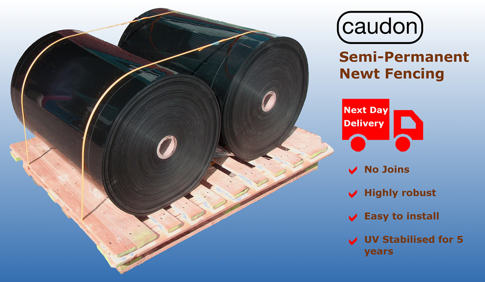 Caudon Semi Permanent Newt Fencing